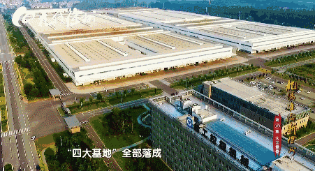 天冷了!就让这一抹“徐州黄”,告诉你渡过寒冬最重要的是什么…